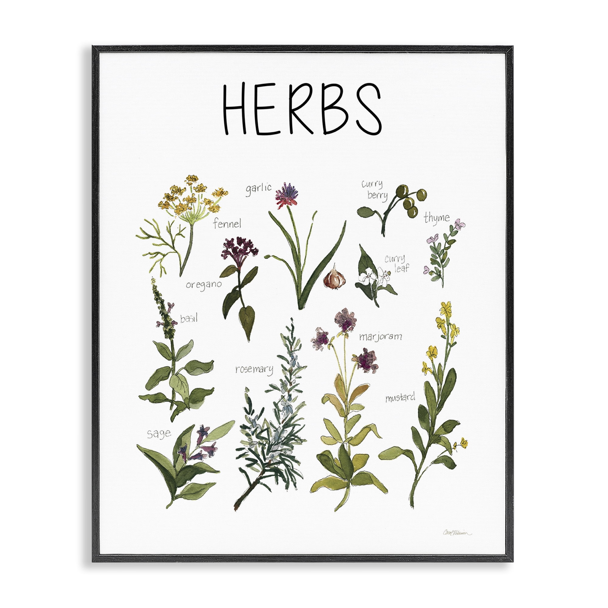 Stupell Industries Herbs Identification Chart Black Framed Giclee Art, design by Carol Robinson
