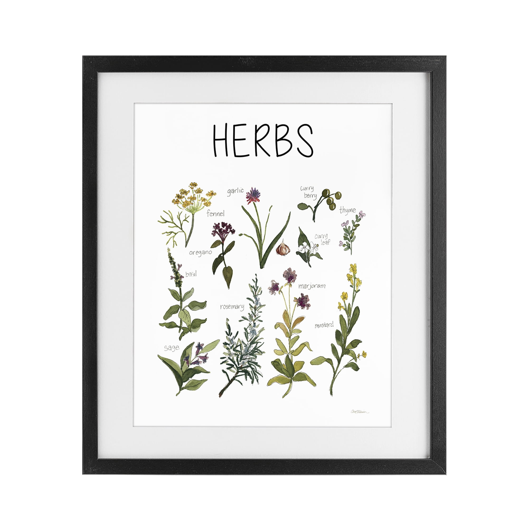 Stupell Industries Herbs Identification Chart Black Framed Print Under Glass, design by Carol Robinson