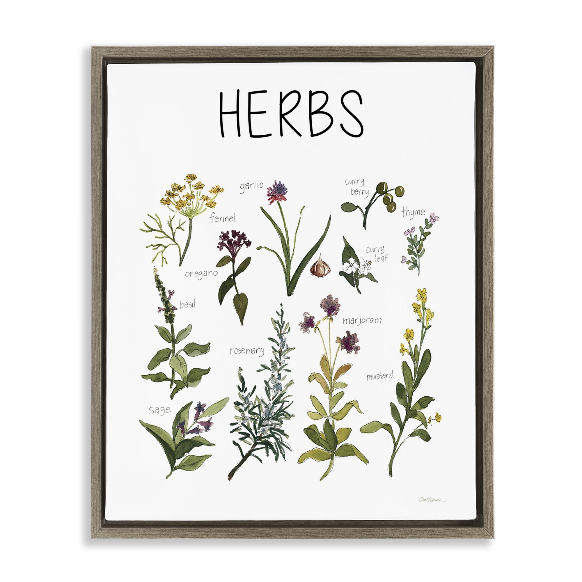 Stupell Industries Herbs Identification Chart Brown Framed Floater Canvas Wall Art, design by Carol Robinson