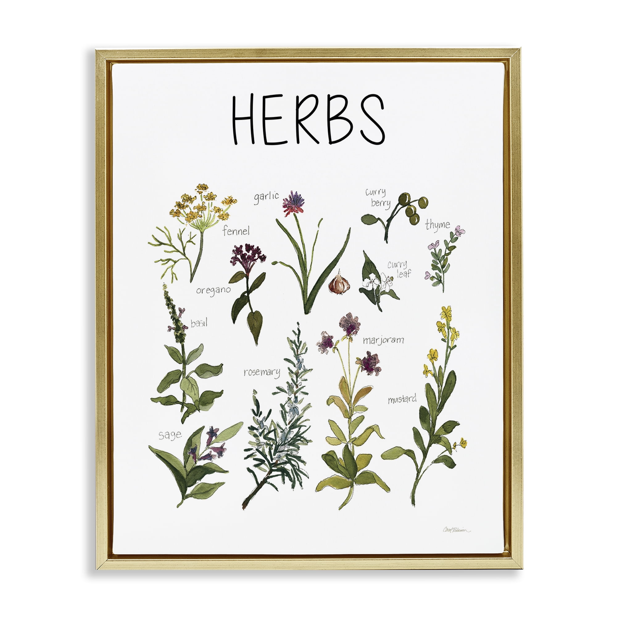 Stupell Industries Herbs Identification Chart Gold Framed Floater Canvas Wall Art, design by Carol Robinson