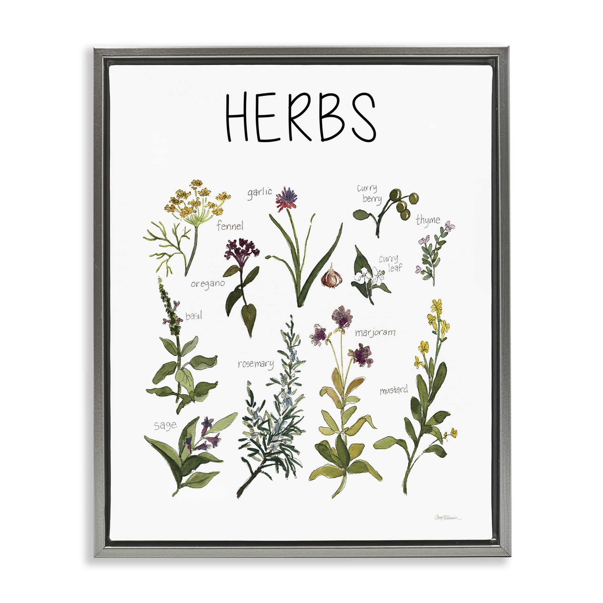 Stupell Industries Herbs Identification Chart Gray Framed Floater Canvas Wall Art, design by Carol Robinson