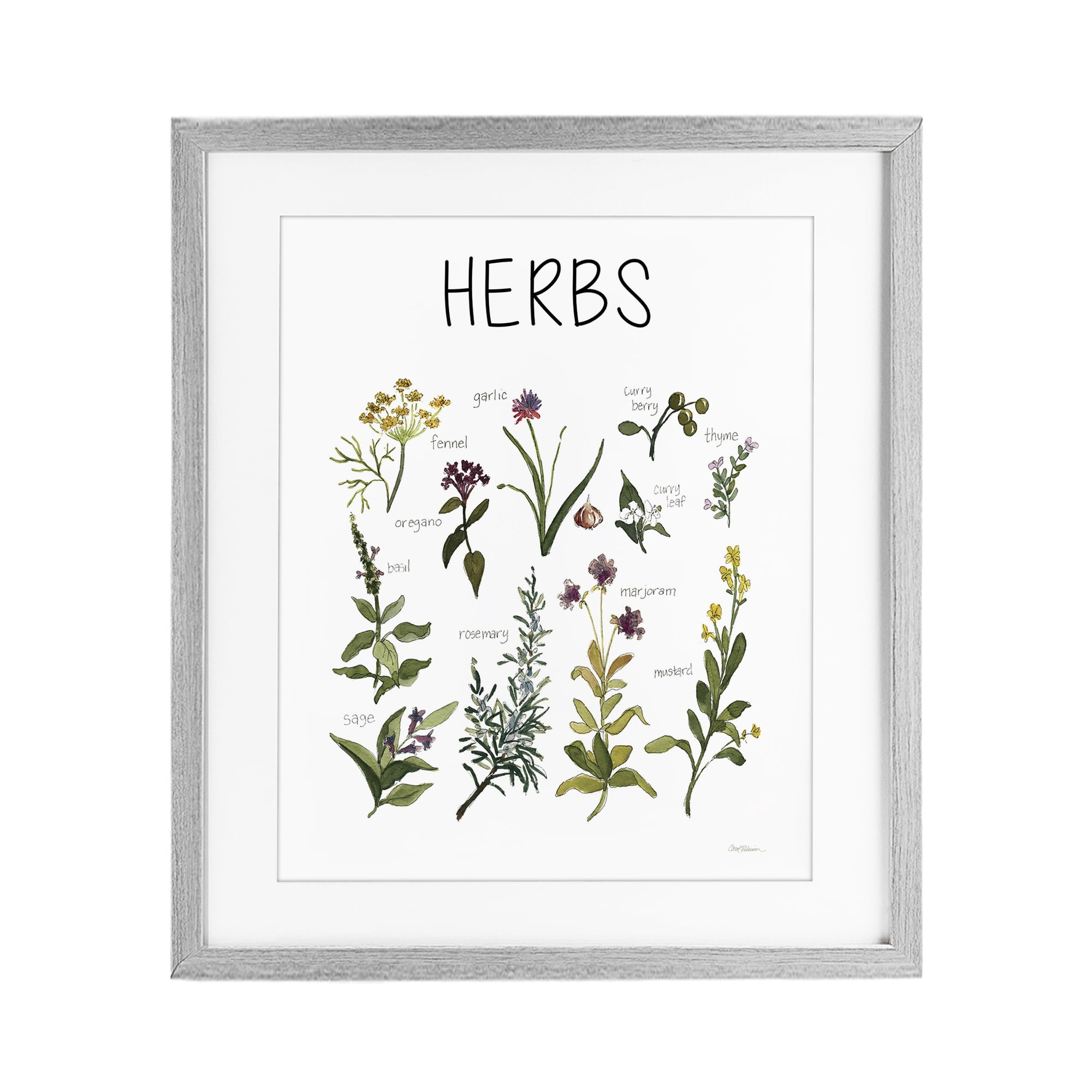 Stupell Industries Herbs Identification Chart Gray Framed Print Under Glass, design by Carol Robinson