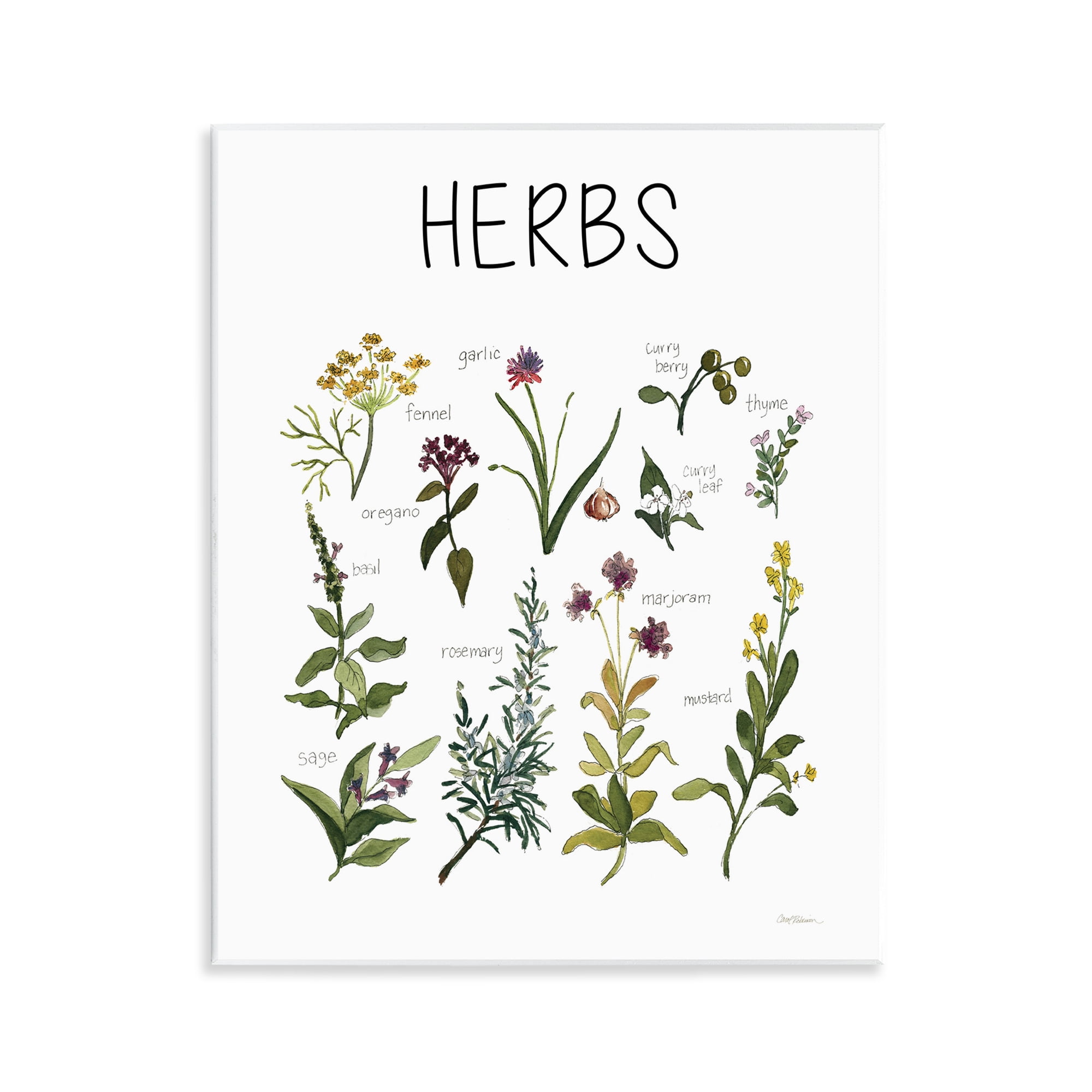 Stupell Industries Herbs Identification Chart Wall Plaque Art, design by Carol Robinson