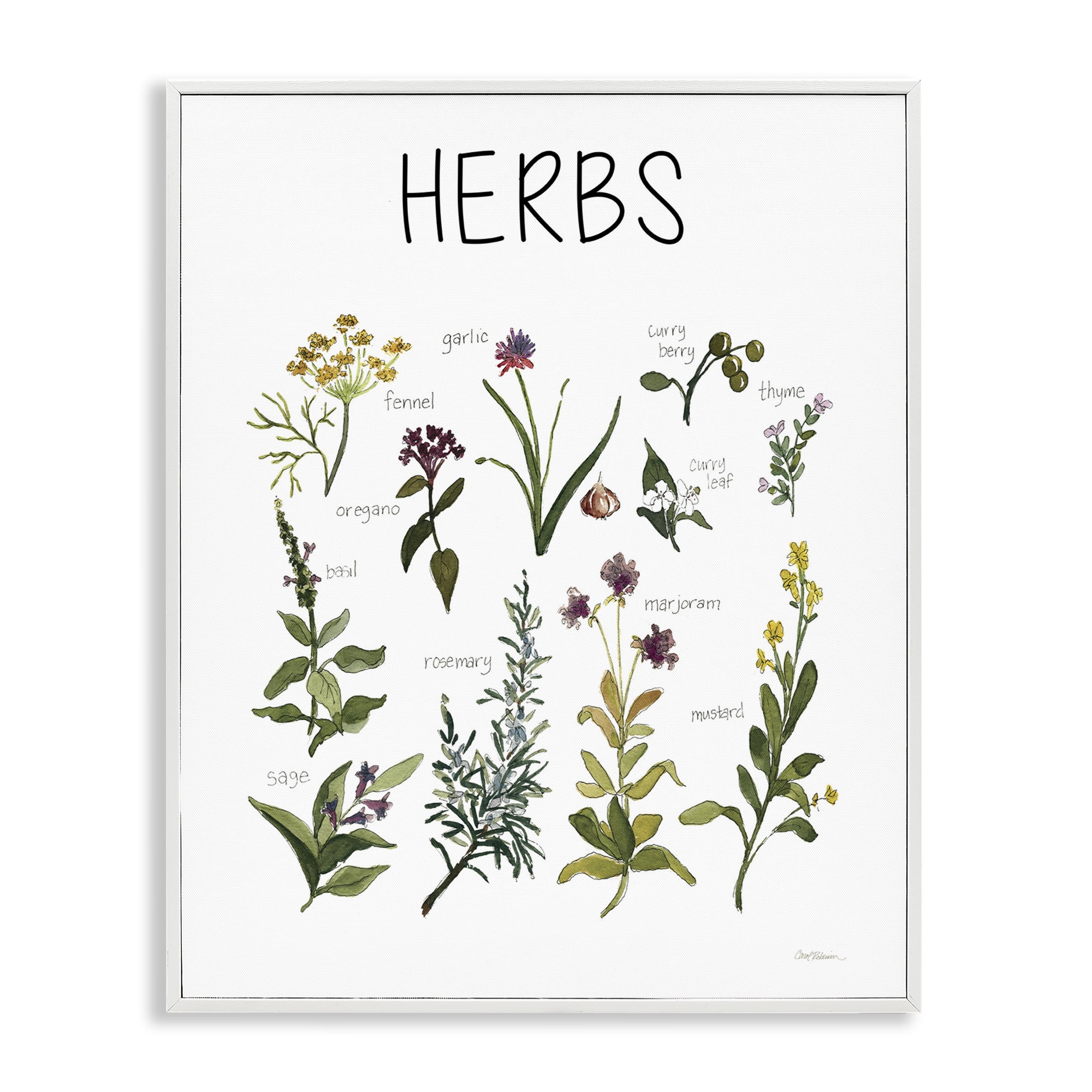 Stupell Industries Herbs Identification Chart White Framed Giclee Art, design by Carol Robinson