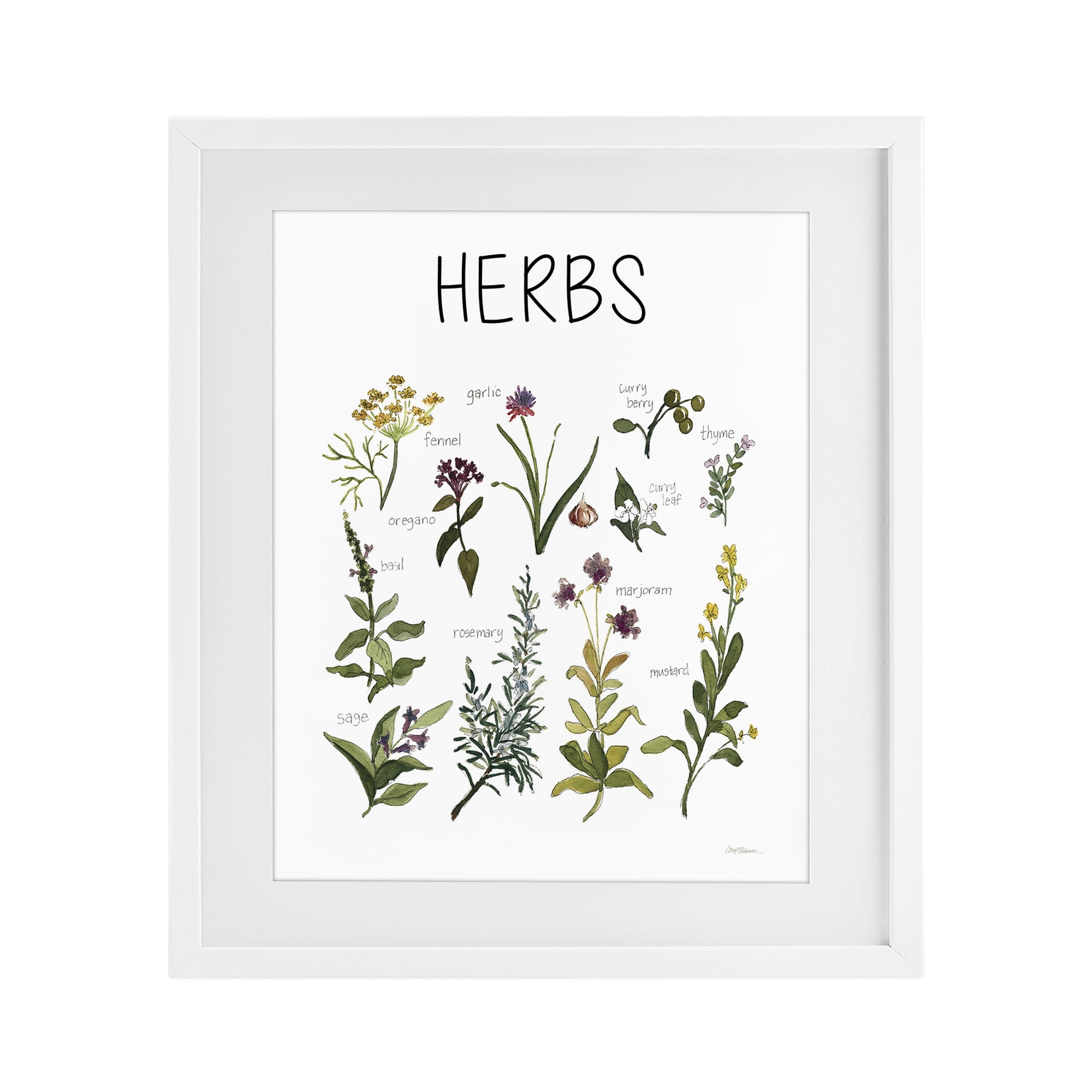 Stupell Industries Herbs Identification Chart White Framed Print Under Glass, design by Carol Robinson