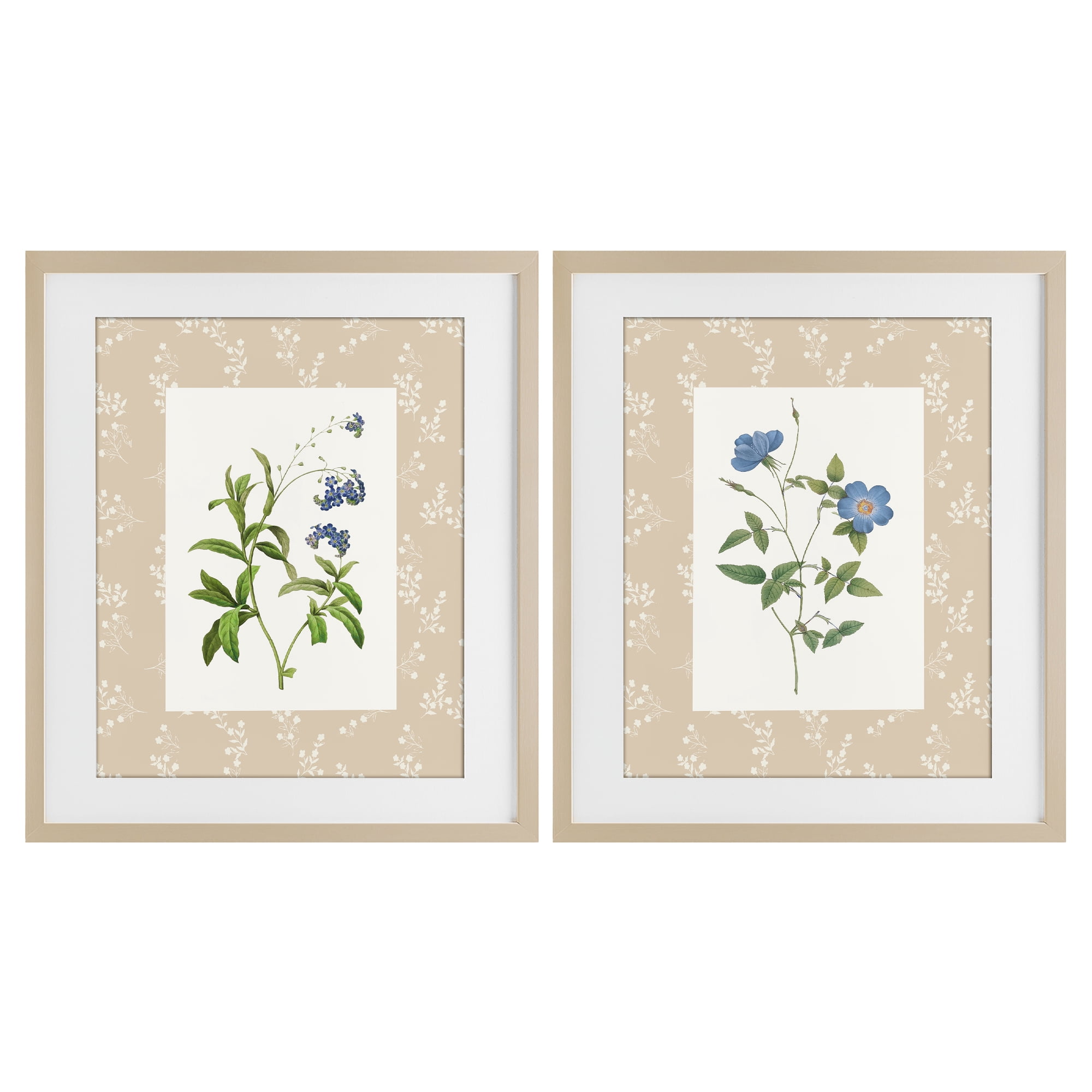 Stupell Industries Herbs on Beige Botanicals 2 Piece Birch Framed Print Under Glass Set, design by Val Rhodes