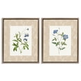 thumbnail image 1 of Stupell Industries Shabby Chic Herbs on Beige Botanicals Brown 2pc Floating Frame Art Set, 17 x 21 each, by Val Rhodes, 1 of 7