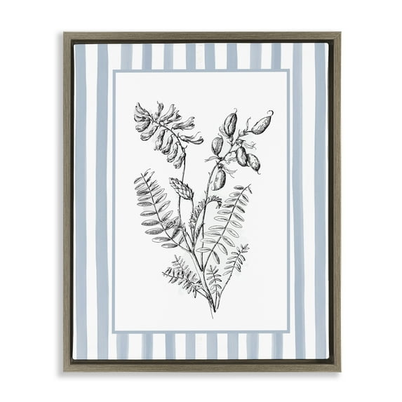 Stupell Industries Herbs with Striped Border Brown Framed Floater Canvas Wall Art design by Lettered and Lined, 31 x 25
