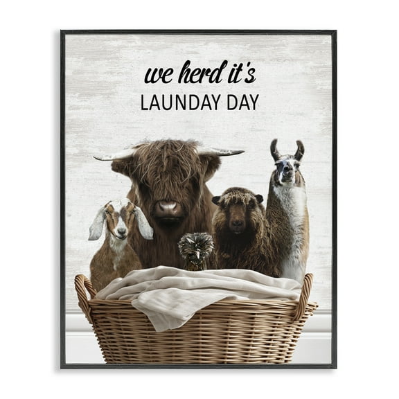 Stupell Industries Herd It's Laundry Day Animals Quotes and Sayings Painting Black Framed Art Print Wall Art, 11 x 14