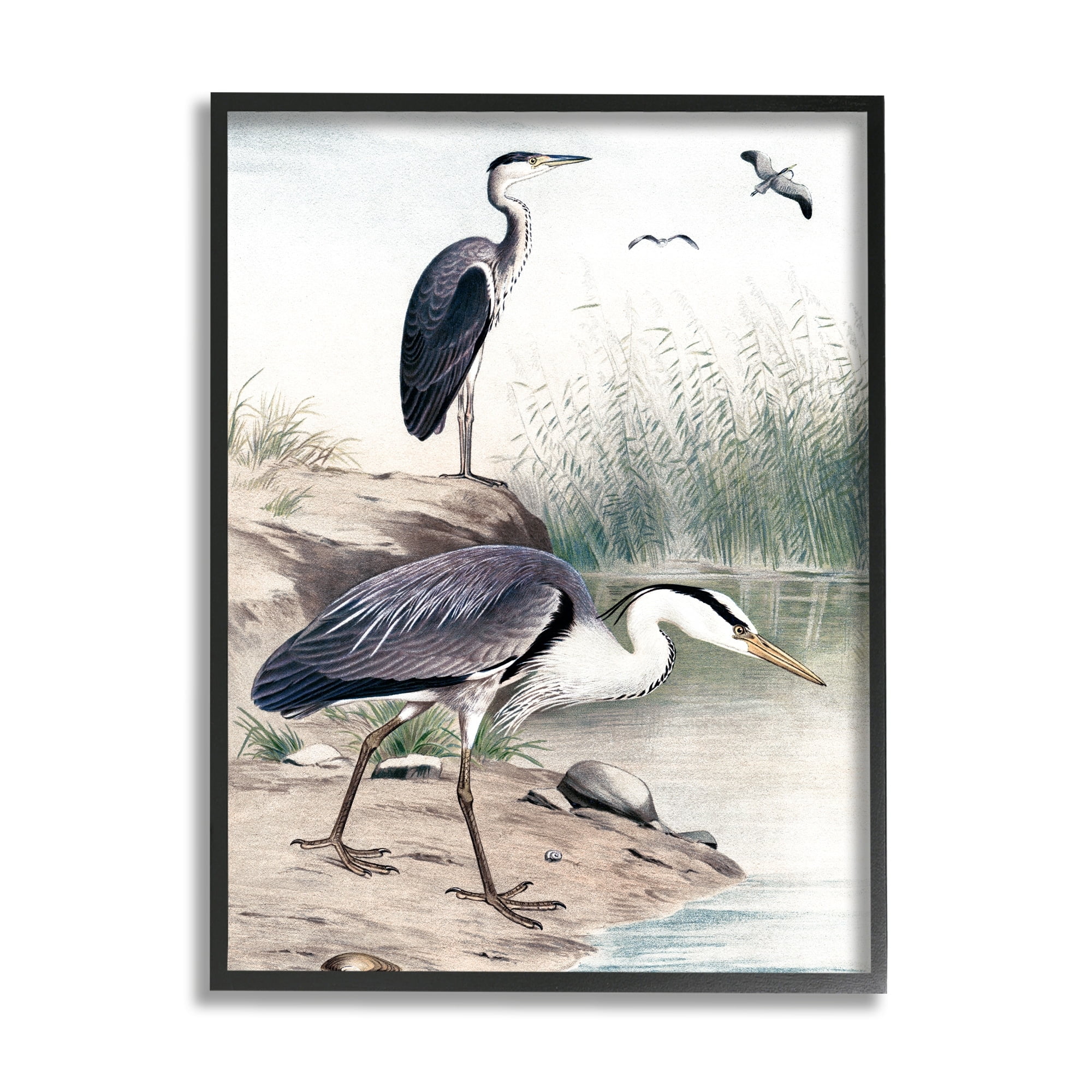 Stupell Industries Heron Birds on Lake Shore Pampas Grass Nature Painting Black Framed Art Print Wall Art, Design by Piddix