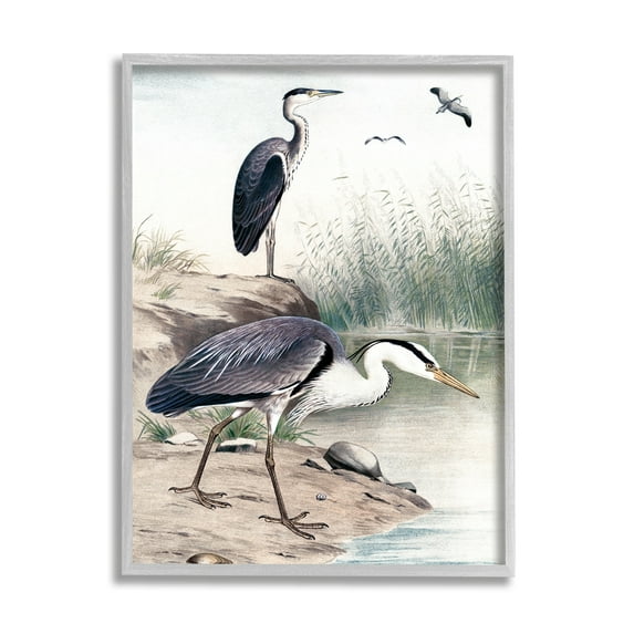 Stupell Industries Heron Birds on Lake Shore Pampas Grass Nature Painting Gray Framed Art Print Wall Art, Design by Piddix