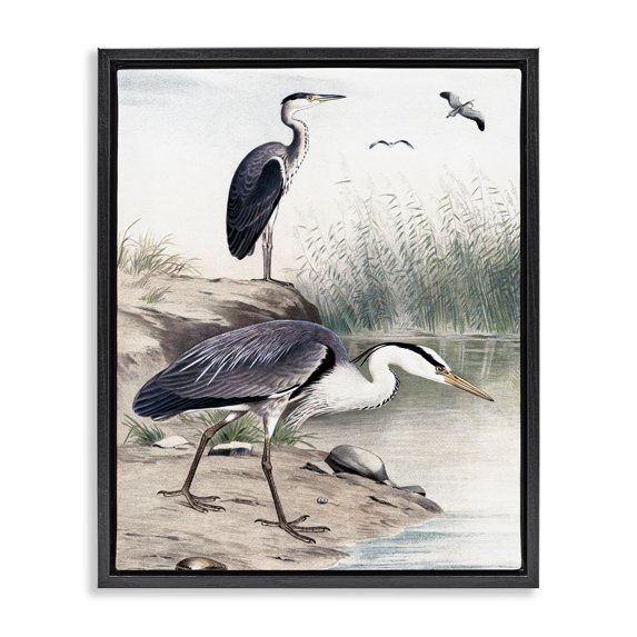 Stupell Industries Rustic Lodge Heron Birds on Lake Shore Pampas Grass Nature Black Floating Frame Canvas Art, 17 x 21, by Piddix
