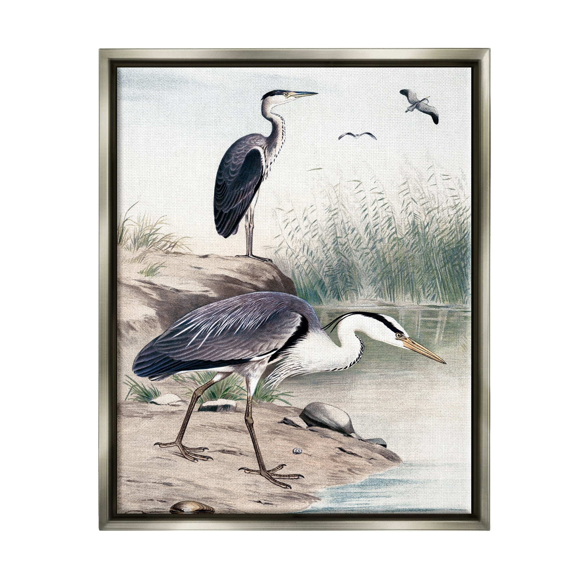 Stupell Industries Heron Birds on Lake Shore Pampas Grass Nature Painting Luster Gray Floating Framed Canvas Print Wall Art, Design by Piddix