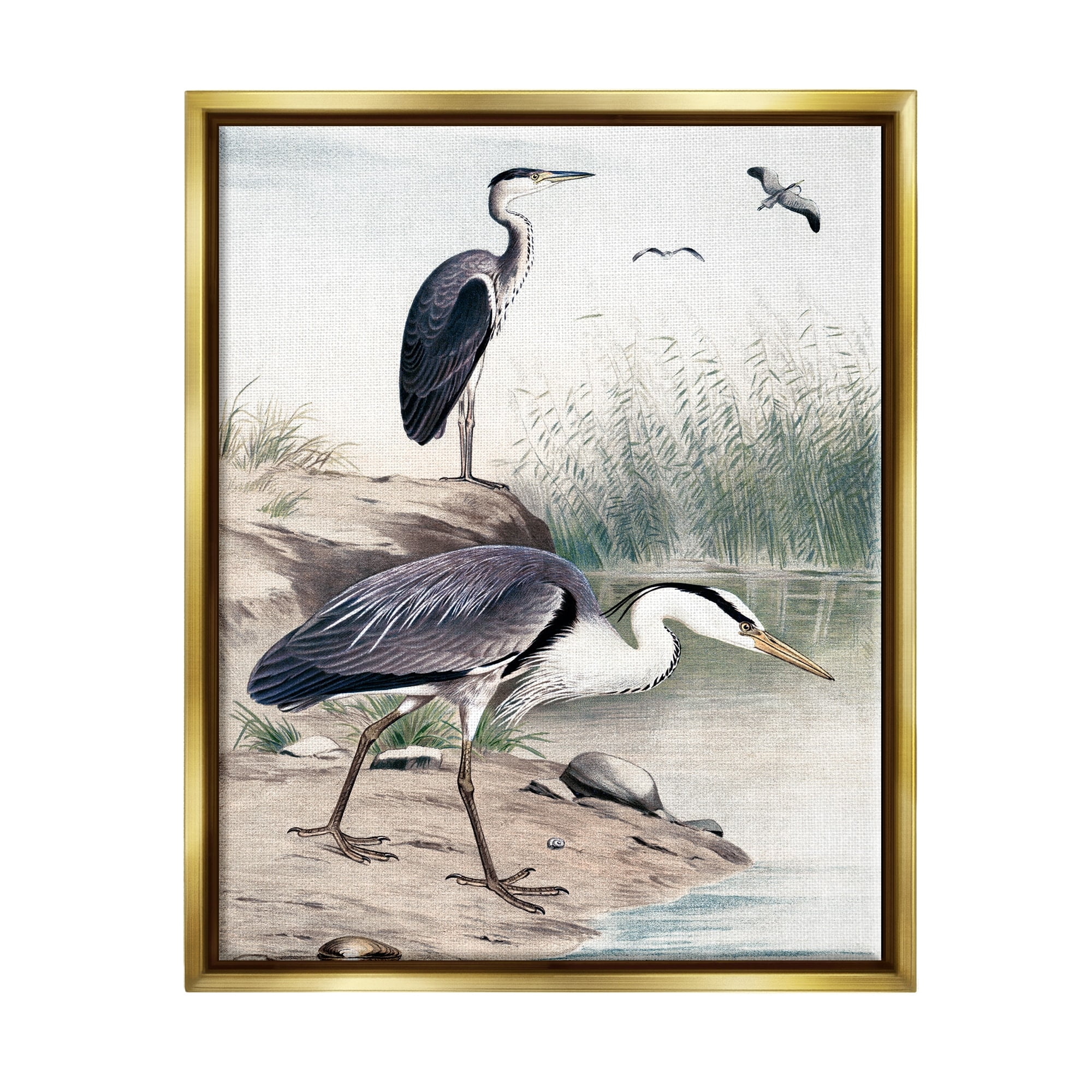 Stupell Industries Heron Birds on Lake Shore Pampas Grass Nature Painting Metallic Gold Floating Framed Canvas Print Wall Art, Design by Piddix