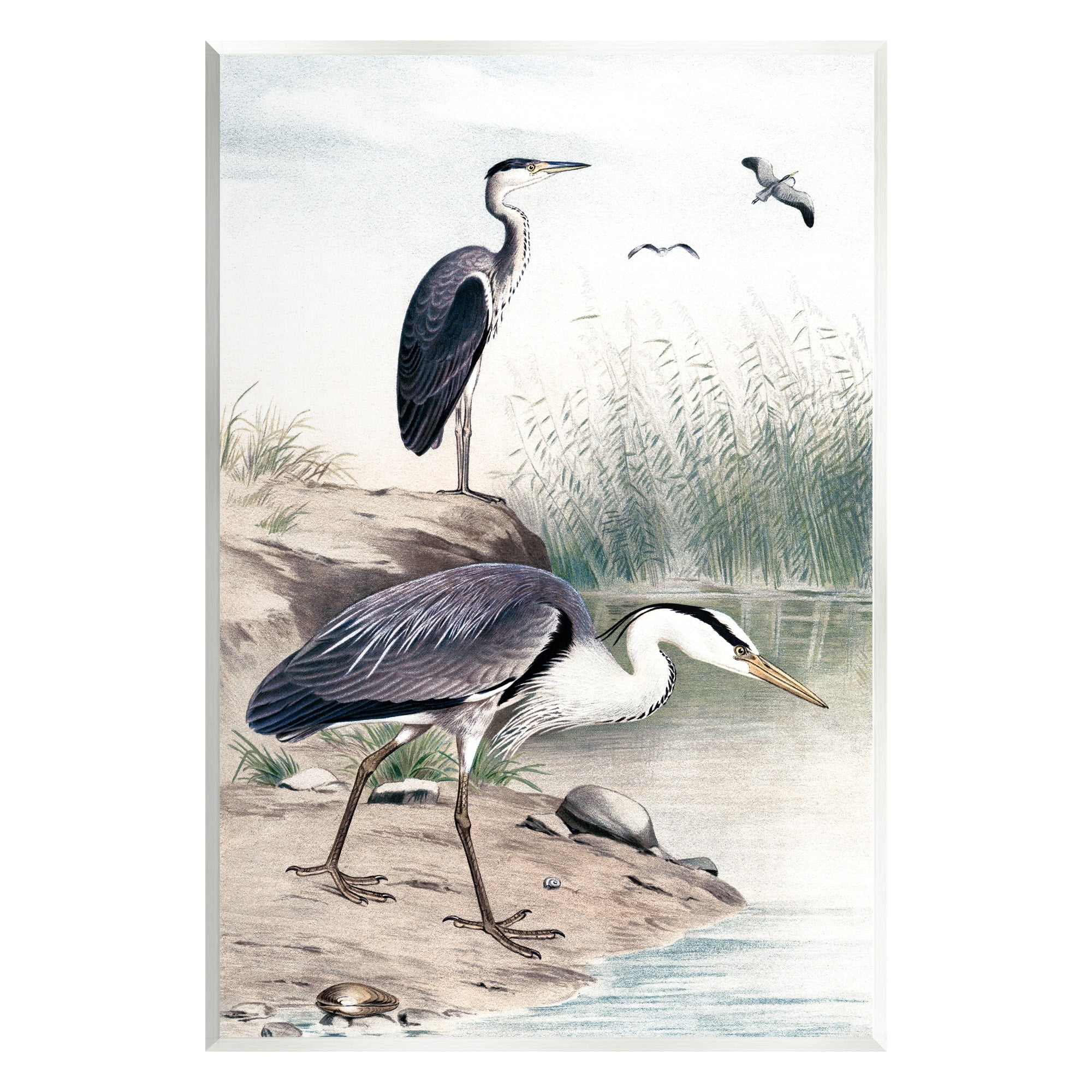 Stupell Industries Heron Birds on Lake Shore Pampas Grass Nature Painting Unframed Art Print Wall Art, Design by Piddix