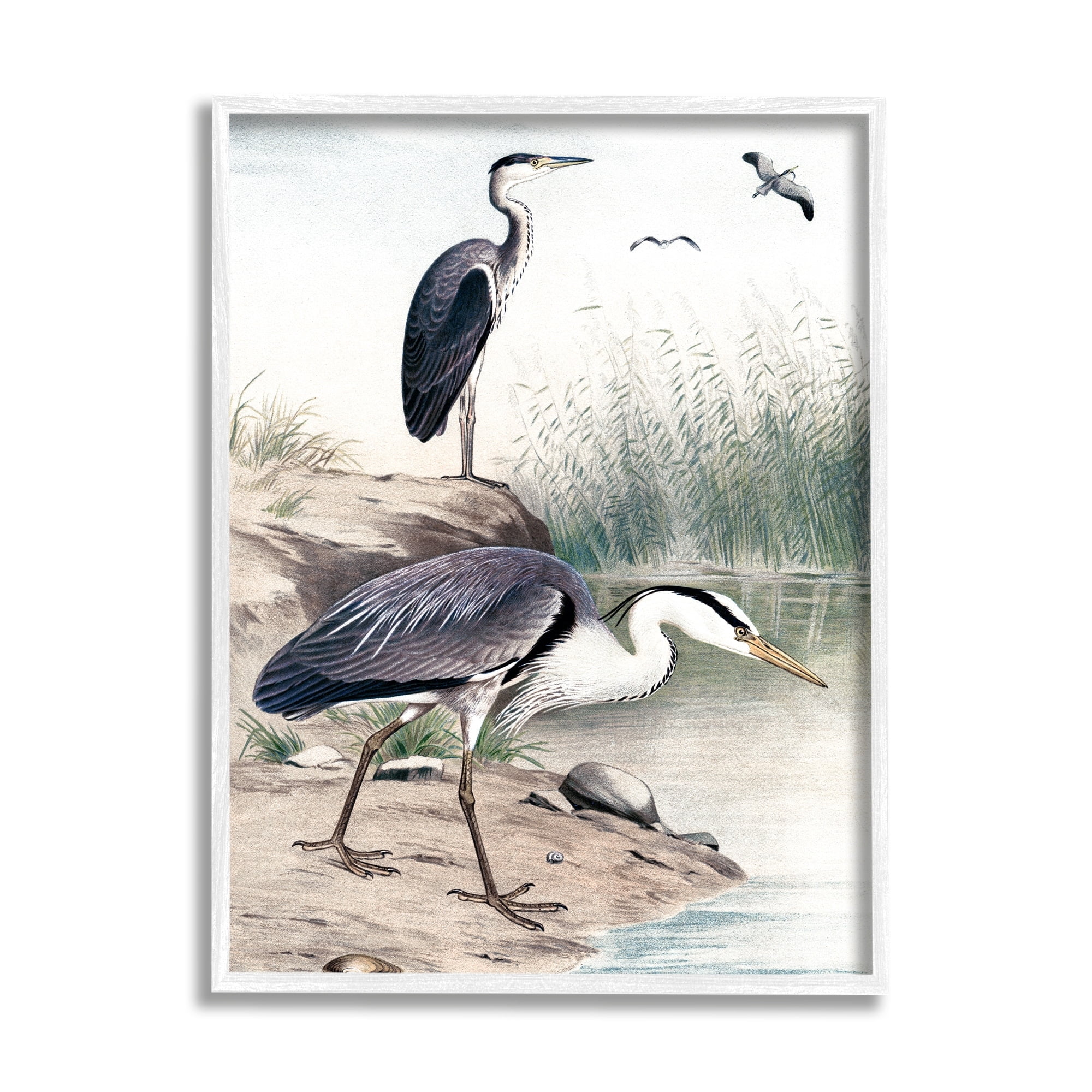 Stupell Industries Heron Birds on Lake Shore Pampas Grass Nature Painting White Framed Art Print Wall Art, Design by Piddix