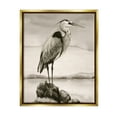 thumbnail image 1 of Stupell Industries Heron Perched at Sea Animals & Insects Painting Gold Floater Framed Canvas Art Print Wall Art, 17 x 21, 1 of 10