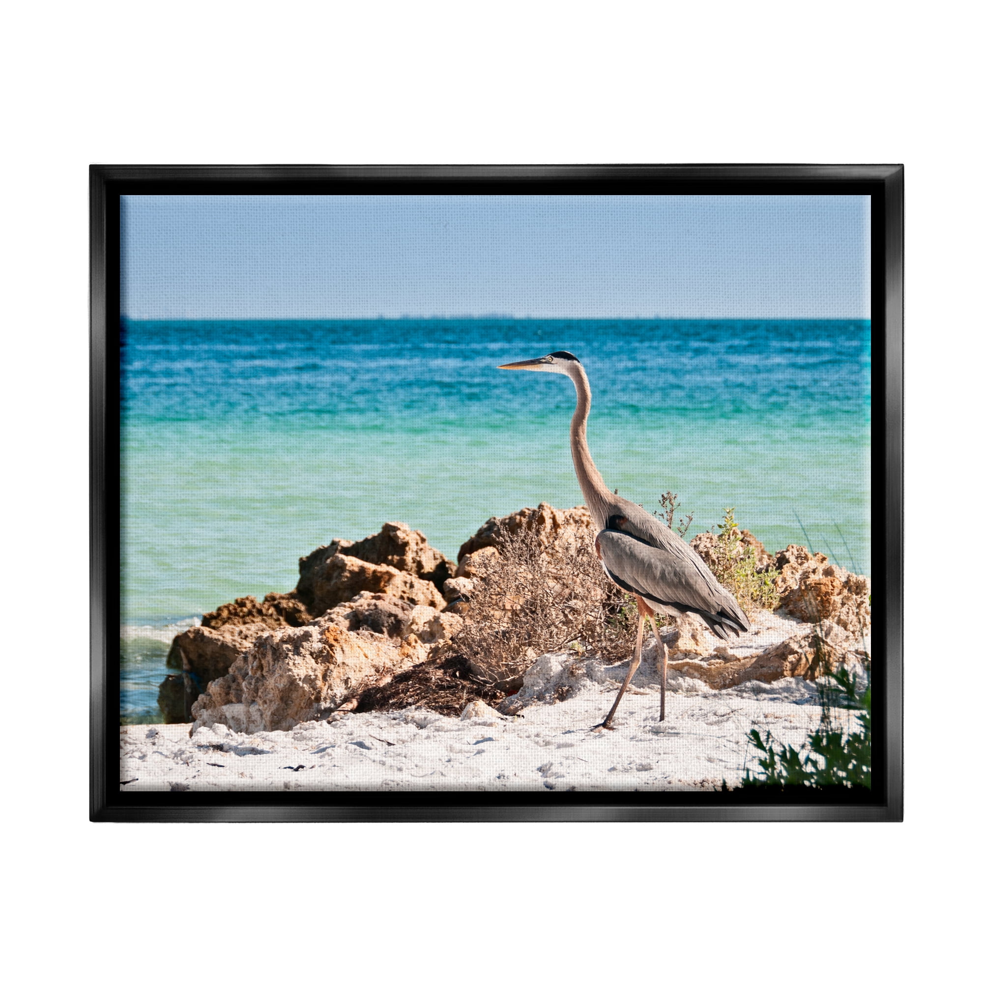 Stupell Industries Heron Watching Ocean Animals & Insects Photography Black Floater Framed Canvas Art Print Wall Art, 31 x 25