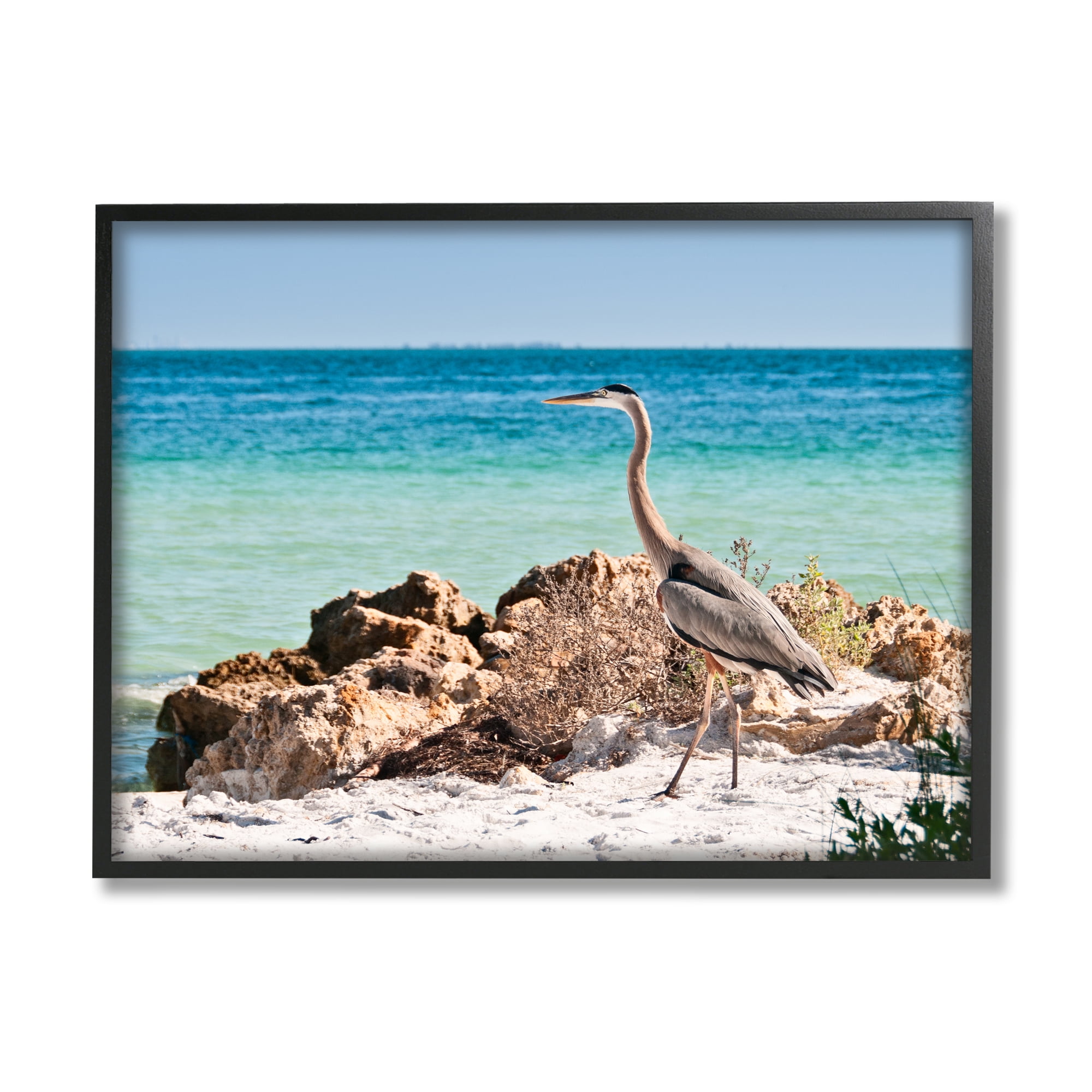 Stupell Industries Heron Watching Ocean Animals & Insects Photography Black Framed Art Print Wall Art, 20 x 16