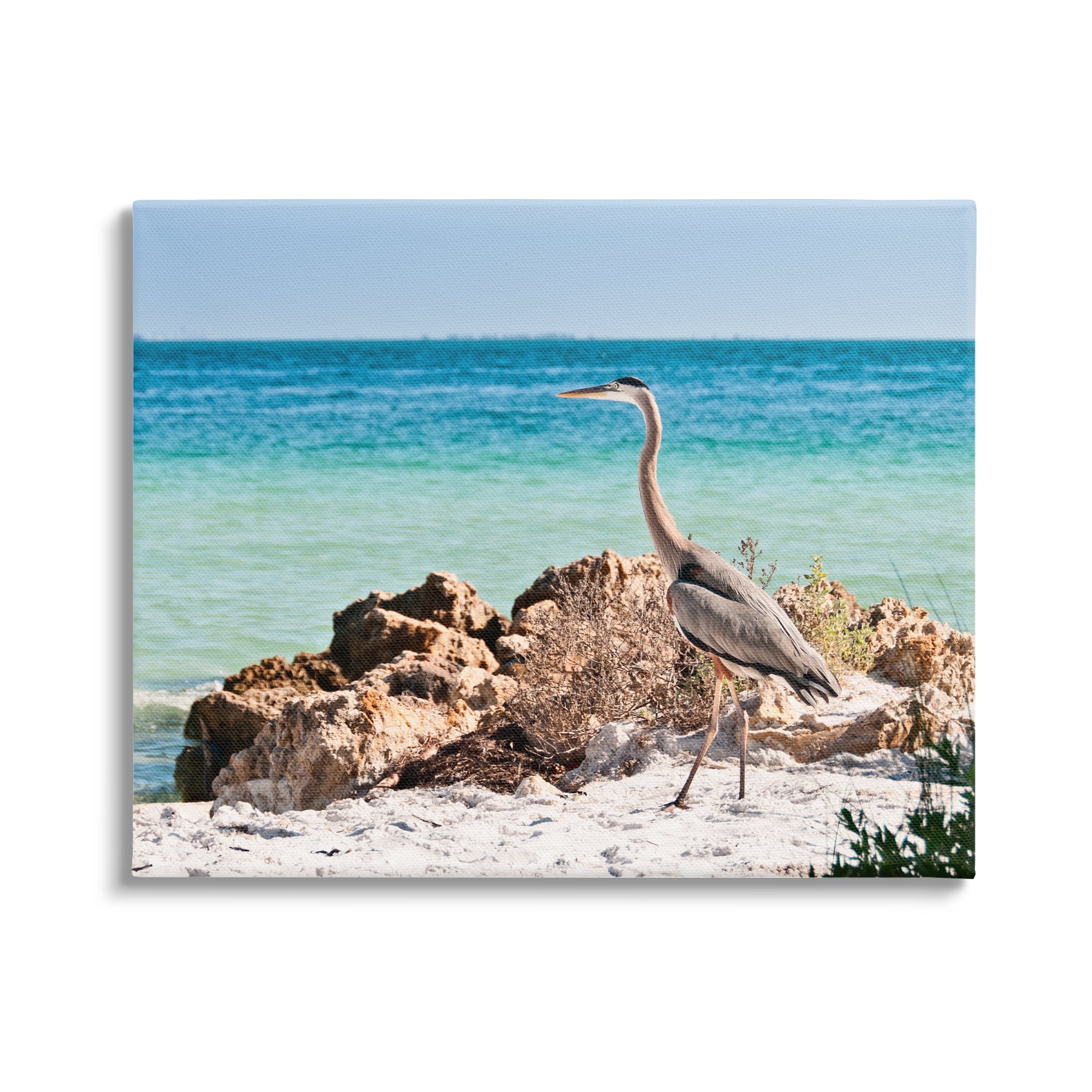 Stupell Industries Heron Watching Ocean Animals & Insects Photography Gallery Wrapped Canvas Art Print Wall Art, 40 x 30