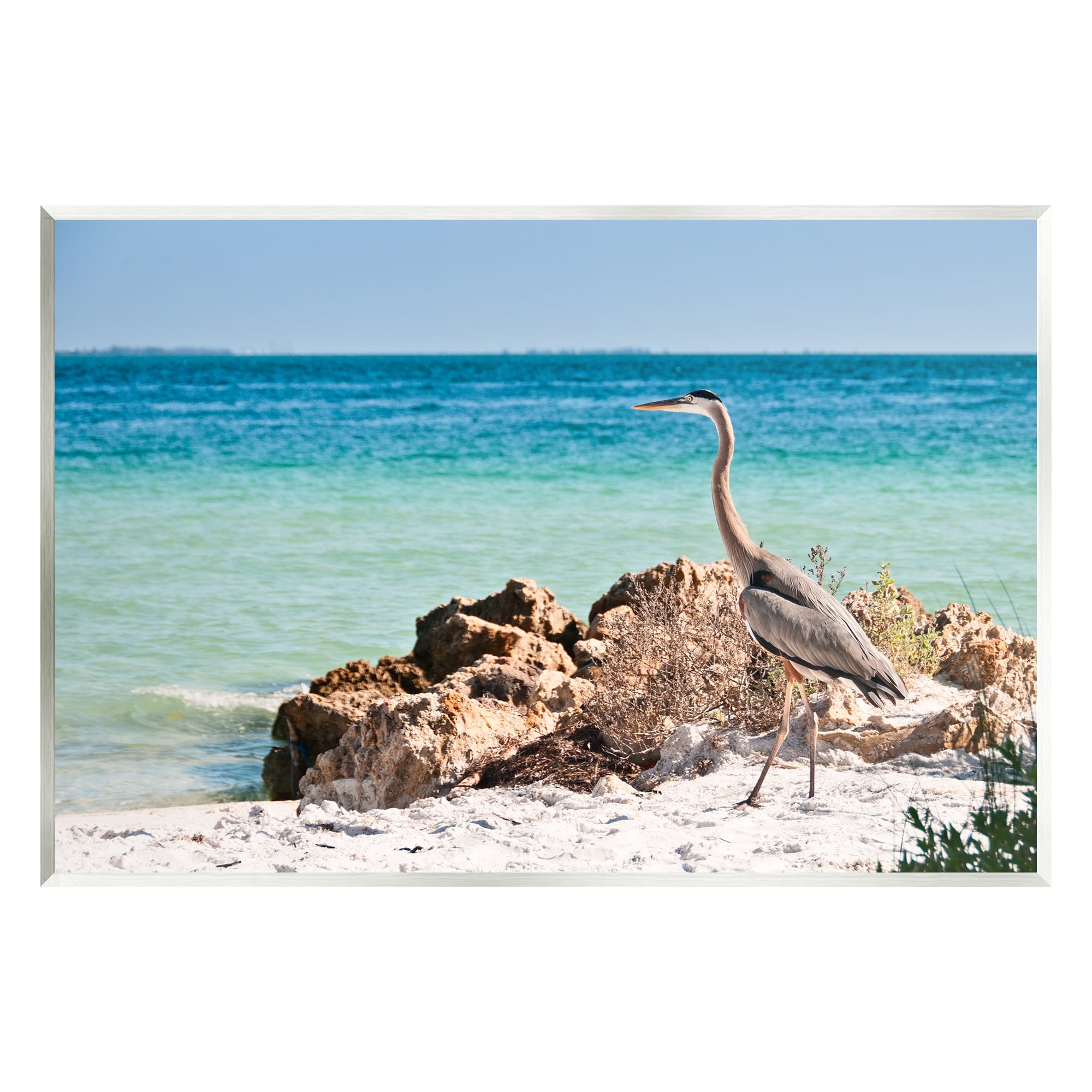 Stupell Industries Heron Watching Ocean Animals & Insects Photography Unframed Art Print Wall Art, 15 x 10