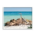 thumbnail image 1 of Stupell Industries Heron Watching Ocean Animals & Insects Photography White Framed Art Print Wall Art, 30 x 24, 1 of 9