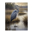thumbnail image 1 of Stupell Industries Traditional Heron in Serene Marshlands Canvas Art, 36 x 48, by Susan Arnot, 1 of 8