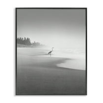 Stupell Industries Heron on Beach Coast Coastal Photography Black Framed Art Print Wall Art, 11 x 14