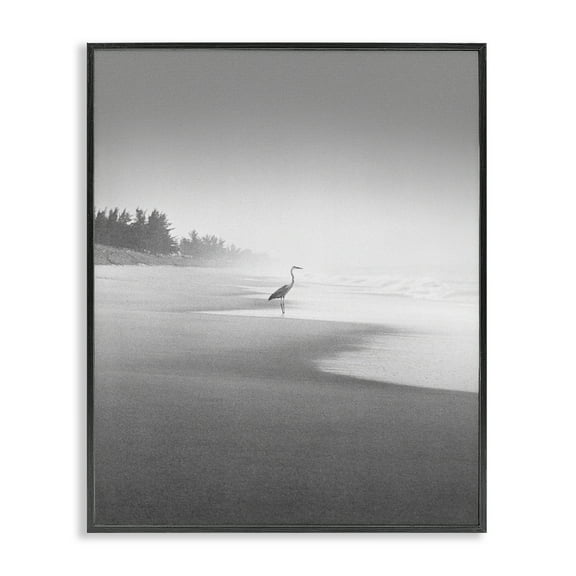 Stupell Industries Heron on Beach Coast Coastal Photography Black Framed Art Print Wall Art, 11 x 14