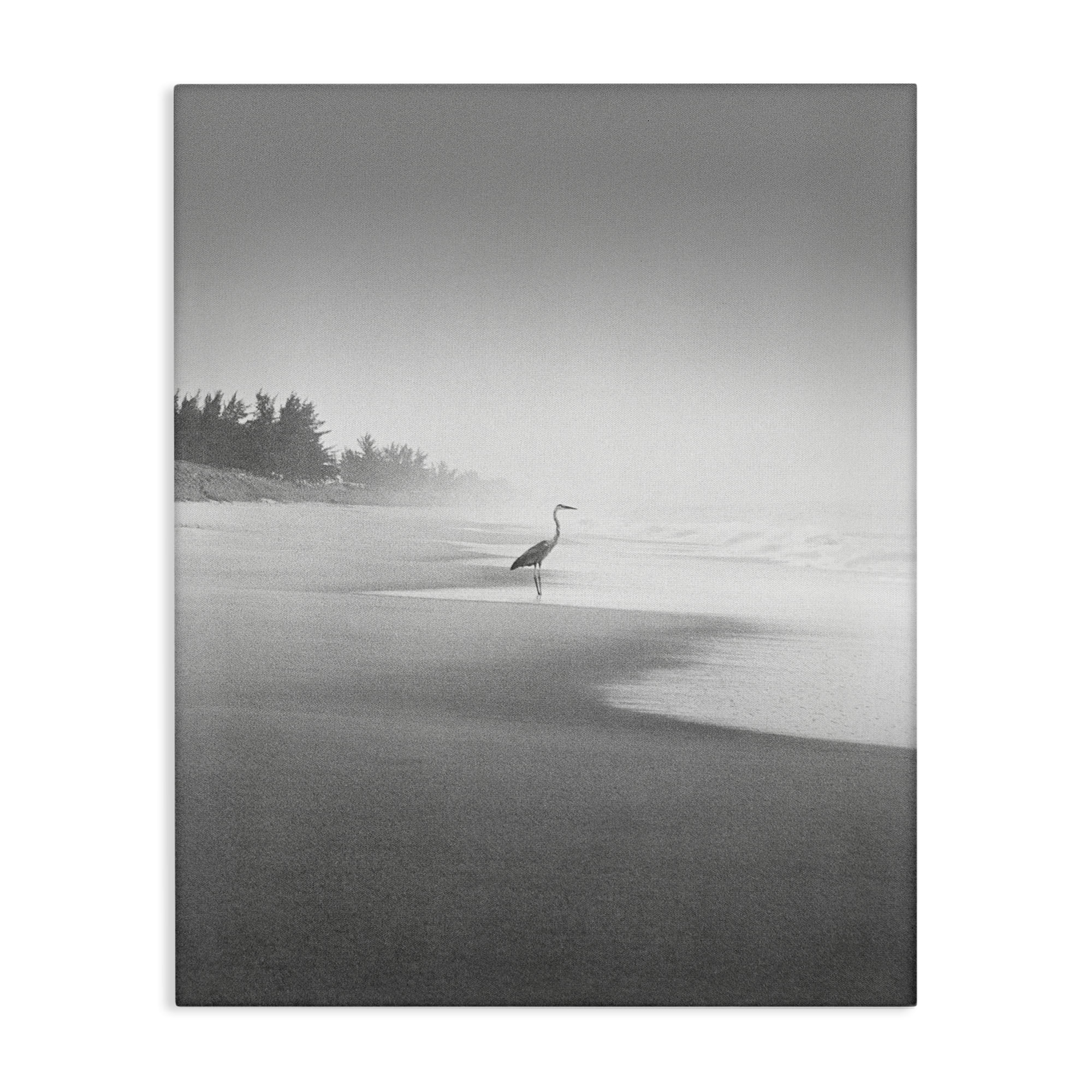 Stupell Industries Heron on Beach Coast Coastal Photography Gallery Wrapped Canvas Art Print Wall Art, 36 x 48