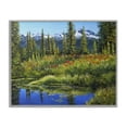 thumbnail image 1 of Stupell Industries High Country Summer Landscape & Nature Painting Gray Framed Art Print Wall Art, 20 x 16, 1 of 2