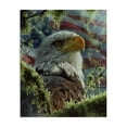 thumbnail image 1 of Stupell Industries High & Mighty America Canvas Wall Art design by Collin Bogle, 48 x 36, 1 of 7
