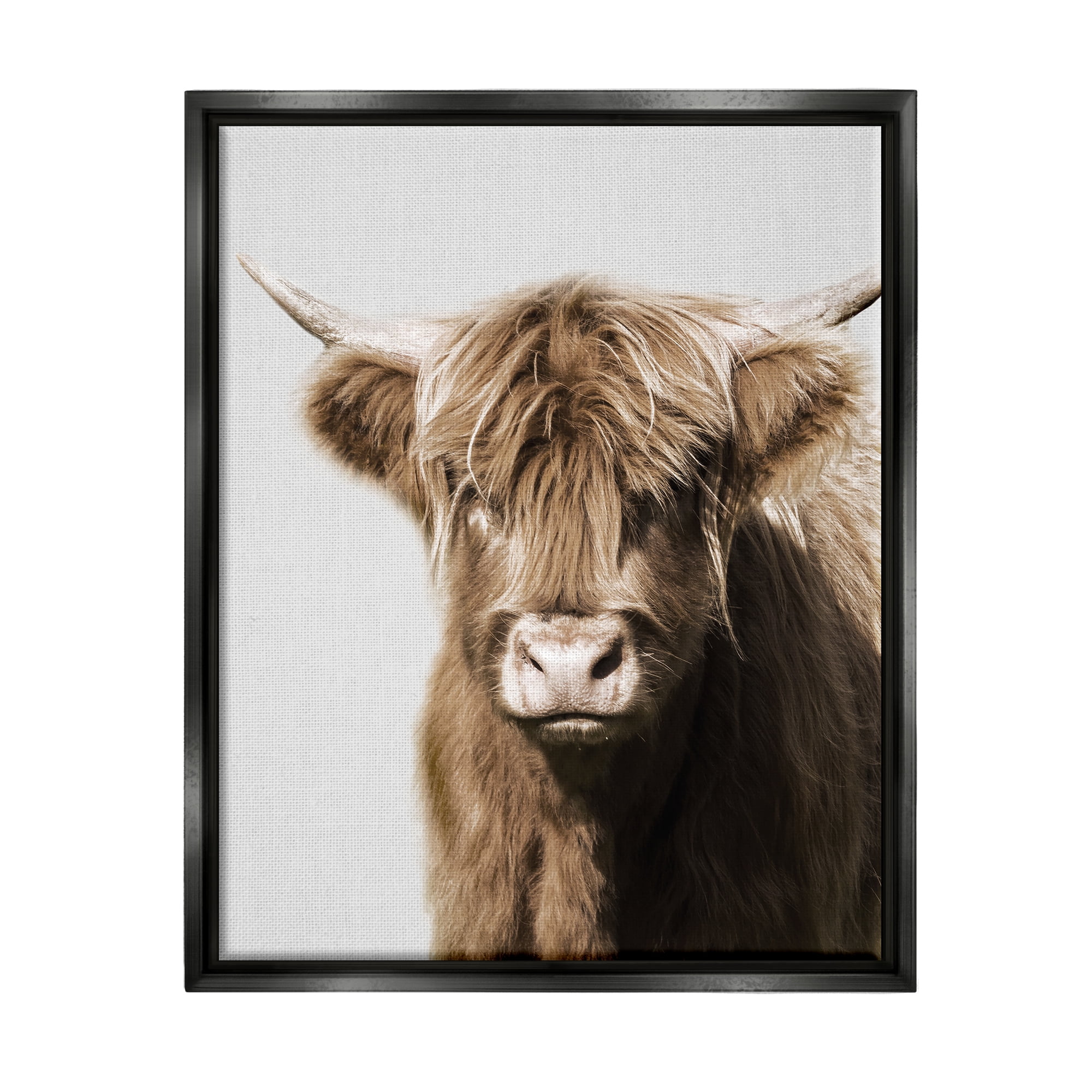 Stupell Industries Highland Cattle Close-Up Animals & Insects Photography Black Floater Framed Canvas Art Print Wall Art, 17 x 21