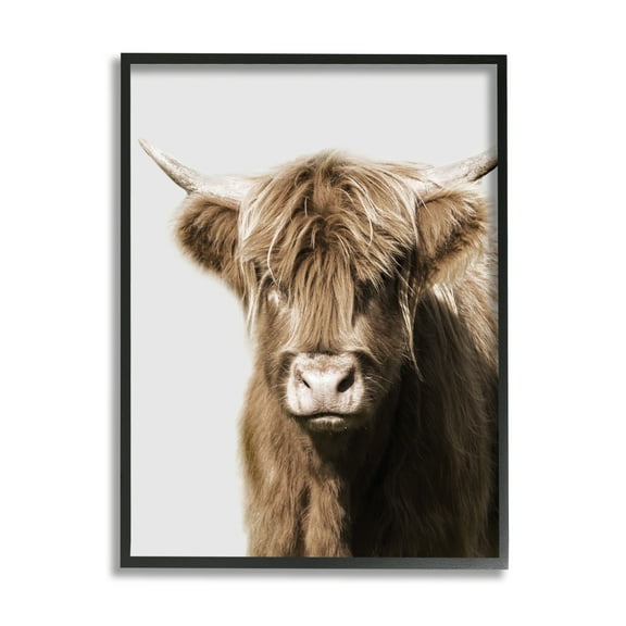Stupell Industries Highland Cattle Close-Up Animals & Insects Photography Black Framed Art Print Wall Art, 11 x 14