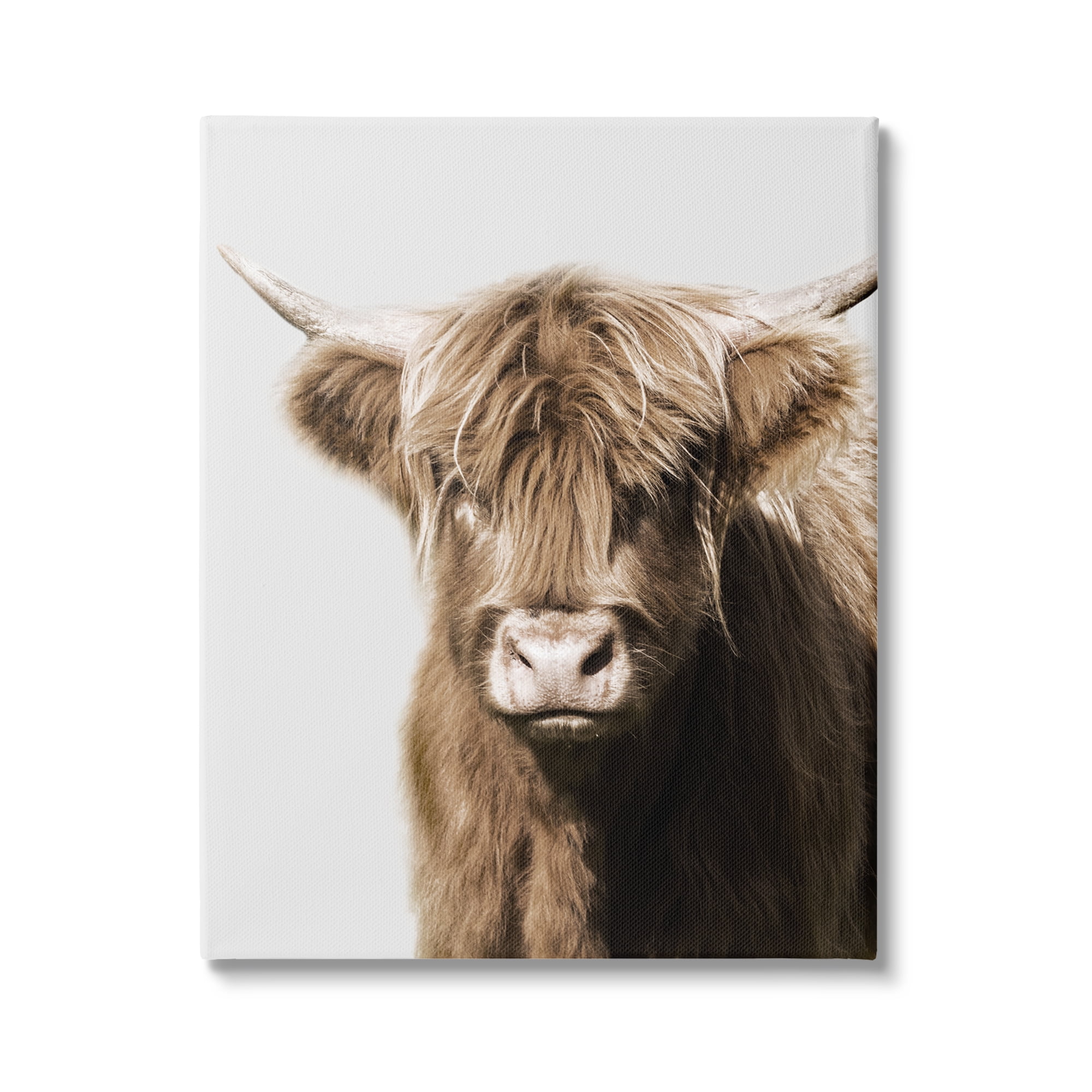 Stupell Industries Highland Cattle Close-Up Animals & Insects Photography Gallery Wrapped Canvas Art Print Wall Art, 24 x 30