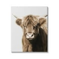 thumbnail image 1 of Stupell Industries Highland Cattle Close-Up Animals & Insects Photography Gallery Wrapped Canvas Art Print Wall Art, 36 x 48, 1 of 8