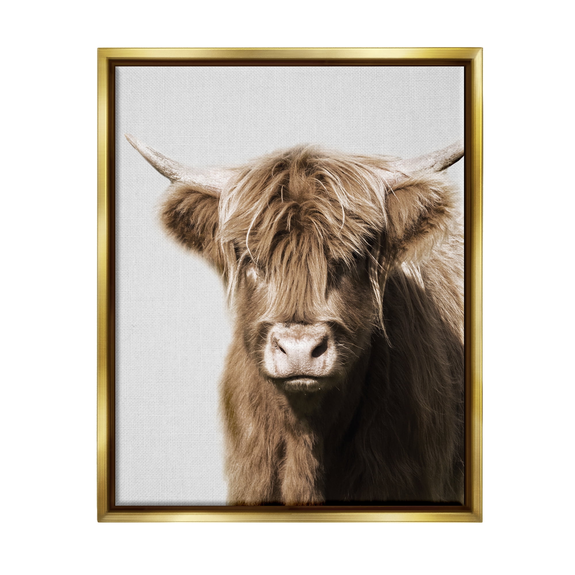 Stupell Industries Highland Cattle Close-Up Animals & Insects Photography Gold Floater Framed Canvas Art Print Wall Art, 17 x 21