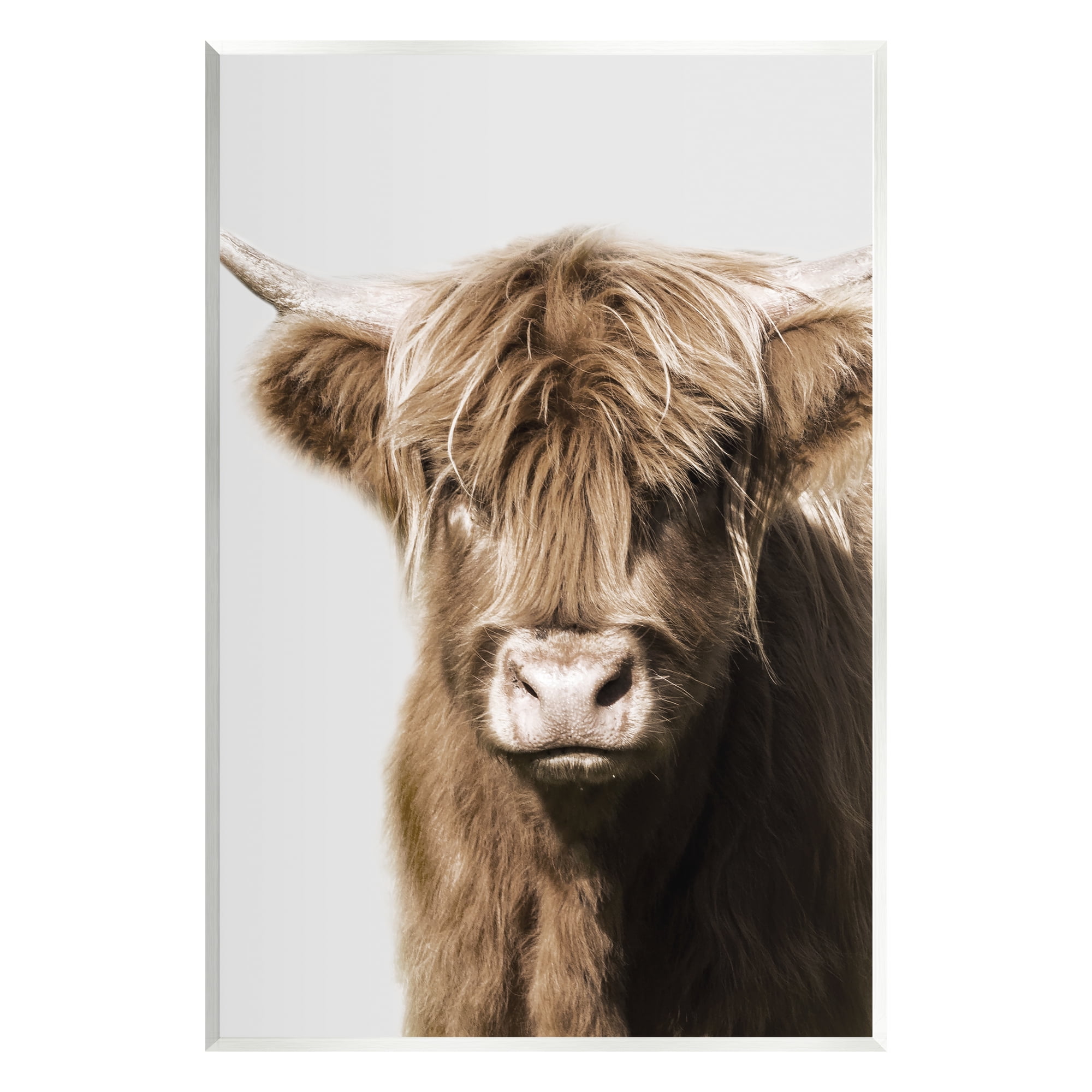 Stupell Industries Highland Cattle Close-Up Animals & Insects Photography Unframed Art Print Wall Art, 13 x 19