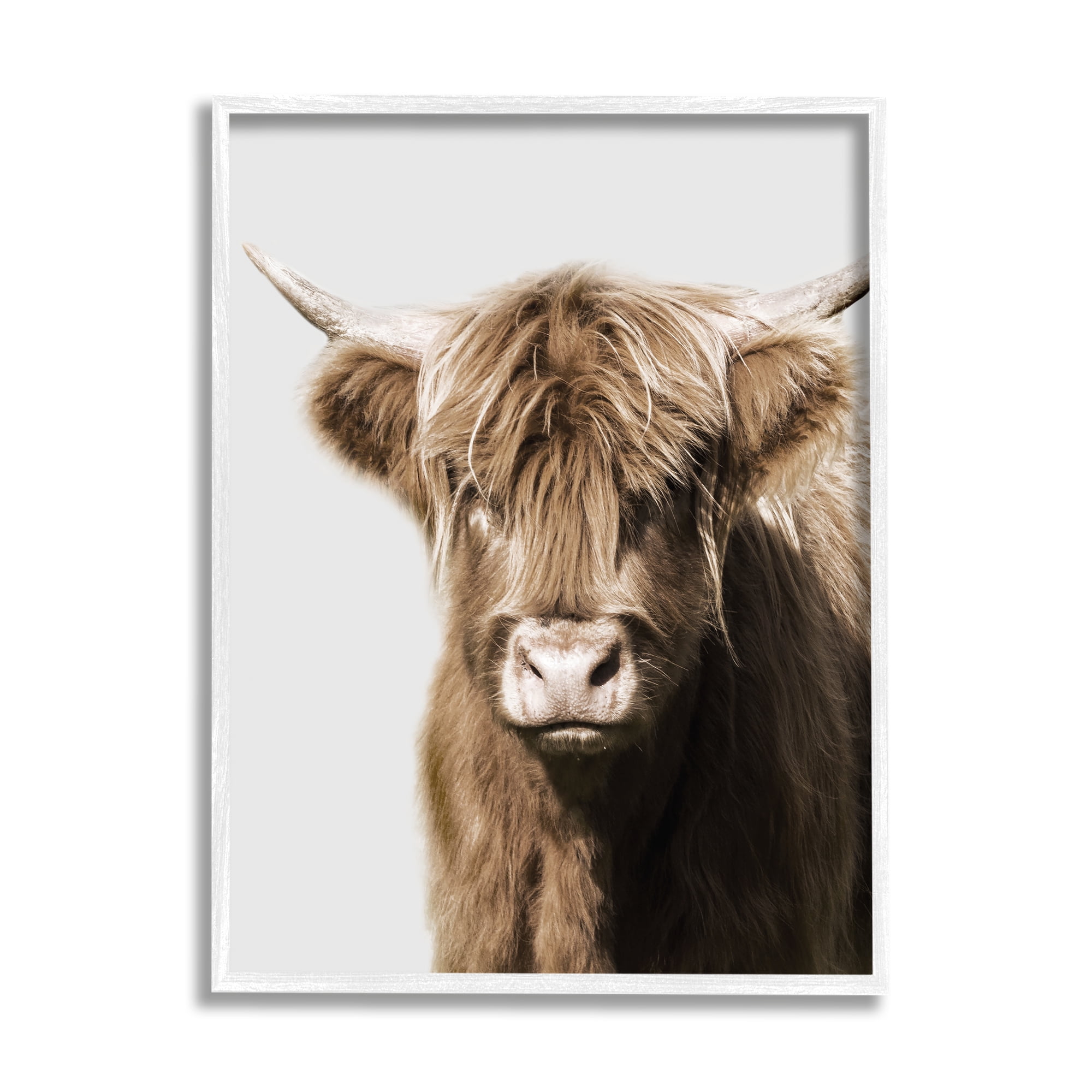 Stupell Industries Highland Cattle Close-Up Animals & Insects Photography White Framed Art Print Wall Art, 16 x 20