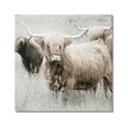 thumbnail image 1 of Stupell Industries Highland Cattle Country Meadow Photograph Gallery Wrapped Canvas Print Wall Art, Design by Danita Delimont, 1 of 7