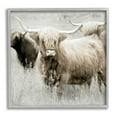 thumbnail image 1 of Stupell Industries Highland Cattle Country Meadow Photograph Gray Framed Art Print Wall Art, Design by Danita Delimont, 1 of 8