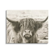 Stupell Industries Highland Cattle Cow Gazing Photography Photograph Gallery Wrapped Canvas Print Wall Art, Design by Nathan Larson