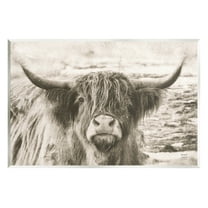 Stupell Industries Highland Cattle Cow Gazing Photography Photograph Unframed Art Print Wall Art, Design by Nathan Larson