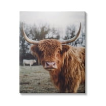 Stupell Industries Highland Cattle Cow Gazing Warm Sunny Portrait Photograph Gallery Wrapped Canvas Print Wall Art, Design by Dakota Diener
