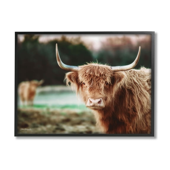 Stupell Industries Highland Cattle Gazing Photography Photograph Black Framed Art Print Wall Art, Design by Dakota Diener