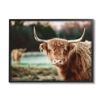 Stupell Industries Highland Cattle Gazing Photography Photograph Black Framed Art Print Wall Art, Design by Dakota Diener