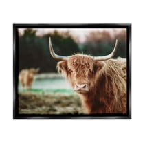 Stupell Industries Highland Cattle Gazing Photography Photograph Jet Black Floating Framed Canvas Print Wall Art, Design by Dakota Diener