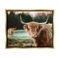 thumbnail image 1 of Stupell Industries Highland Cattle Gazing Photography Photograph Metallic Gold Floating Framed Canvas Print Wall Art, Design by Dakota Diener, 1 of 6