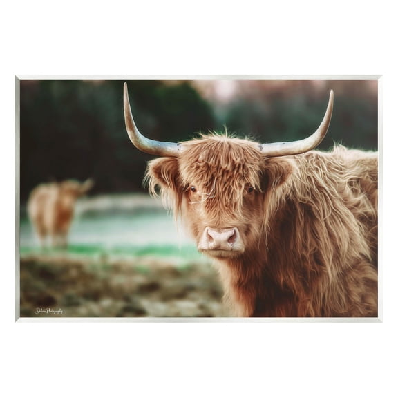 Stupell Industries Highland Cattle Gazing Photography Photograph Unframed Art Print Wall Art, Design by Dakota Diener
