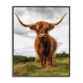 thumbnail image 1 of Stupell Industries Farmhouse Highland Cattle Long Horns Grazing Farm Ranch Black Framed Giclee Art, 11 x 14, by James Dobson, 1 of 7